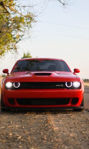 Dodge